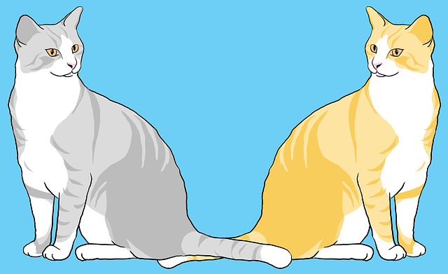 Scarica gratis l'illustrazione gratuita di Cats Kittens Kitty da modificare con l'editor di immagini online GIMP