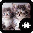 OffiDocs Chromium 中的 Chrome 网上商店扩展程序的 Cats Kittens Puzzle 屏幕