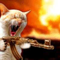 Free download cat_warrior free photo or picture to be edited with GIMP online image editor