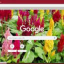 Celosia  screen for extension Chrome web store in OffiDocs Chromium