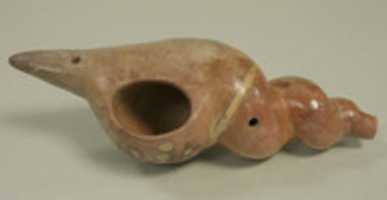 Free download Ceramic Trumpet in the Form of a Shell free photo or picture to be edited with GIMP online image editor