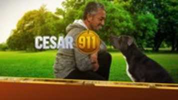 Free download cesar-911 free photo or picture to be edited with GIMP online image editor