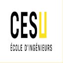 CESU  screen for extension Chrome web store in OffiDocs Chromium
