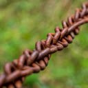 Chain  screen for extension Chrome web store in OffiDocs Chromium