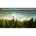 Chameleon on Crops  screen for extension Chrome web store in OffiDocs Chromium