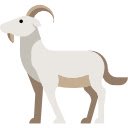 Chamois on the Ridge  screen for extension Chrome web store in OffiDocs Chromium