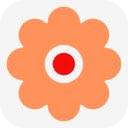 Chat LLM  screen for extension Chrome web store in OffiDocs Chromium