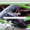 Chau Chau Den  screen for extension Chrome web store in OffiDocs Chromium