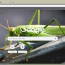 Chau Chau Xanh  screen for extension Chrome web store in OffiDocs Chromium