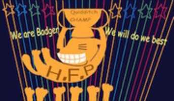 Free download Cheer Quidditch Hufflepuff pic free photo or picture to be edited with GIMP online image editor