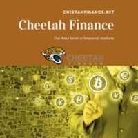 Free download Cheetah Finance Wallet helps you make money online in trading free photo or picture to be edited with GIMP online image editor