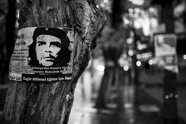 Free download che guevara tree poster revolution free picture to be edited with GIMP free online image editor