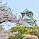 Cherry Blossom Castle Theme  screen for extension Chrome web store in OffiDocs Chromium