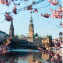 Cherry blossoms in the spring in the city of hamburg  screen for extension Chrome web store in OffiDocs Chromium