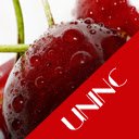 Cherry Theme  screen for extension Chrome web store in OffiDocs Chromium
