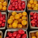 Cherry Tomatoes in Boxes  screen for extension Chrome web store in OffiDocs Chromium