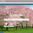 Cherry Tree  screen for extension Chrome web store in OffiDocs Chromium