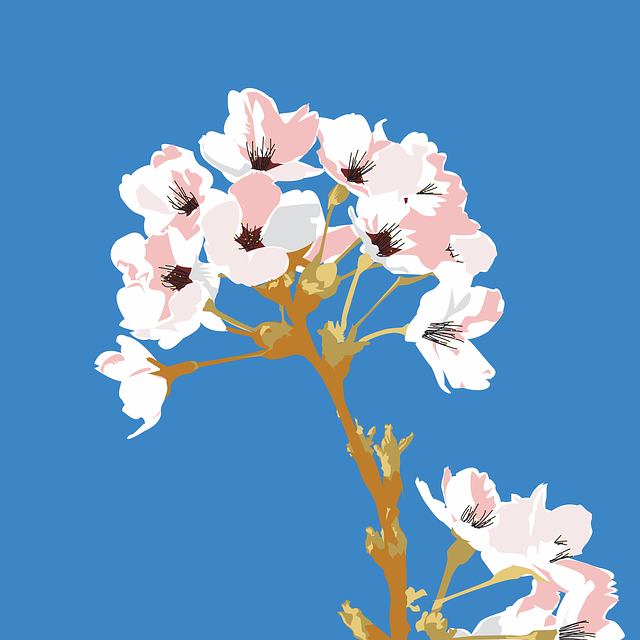 Free download Cherry Tree Flower Twig -  free illustration to be edited with GIMP free online image editor