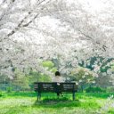 Cherry Whispers Serenity  screen for extension Chrome web store in OffiDocs Chromium