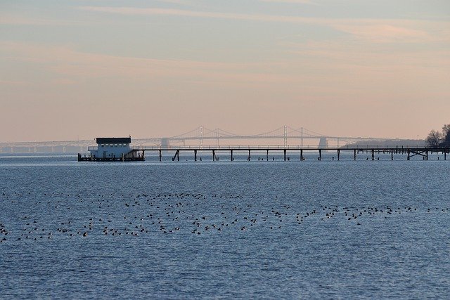Безкоштовно завантажте безкоштовну фотографію Chesapeake Bay Bridge Pier Boat для редагування за допомогою безкоштовного онлайн-редактора зображень GIMP