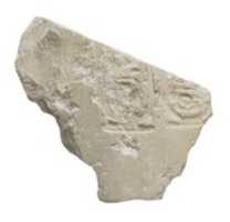Free download Chest or abdomen of Akhenaten, Aten cartouches free photo or picture to be edited with GIMP online image editor