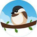 chickadeasy  screen for extension Chrome web store in OffiDocs Chromium