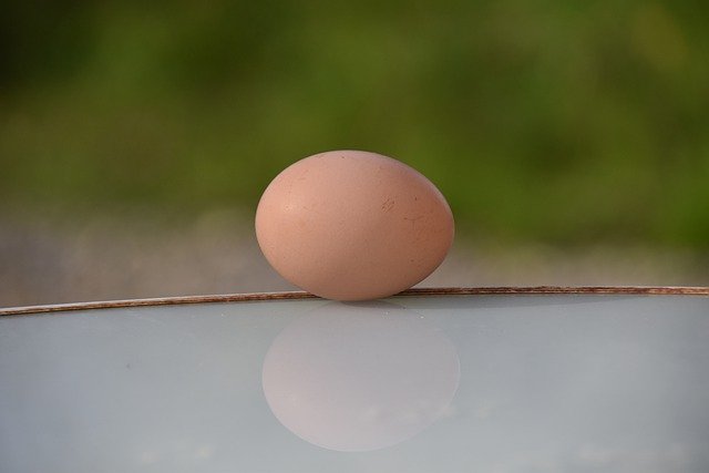 Descarga gratuita de huevo de gallina, comida de huevo, huevo marrón, imagen gratuita para editar con el editor de imágenes en línea gratuito GIMP.