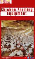 Free download Chicken Farming Equipment manufacturers & suppliers  | Egiyok News free photo or picture to be edited with GIMP online image editor