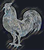 Free download chicken free photo or picture to be edited with GIMP online image editor