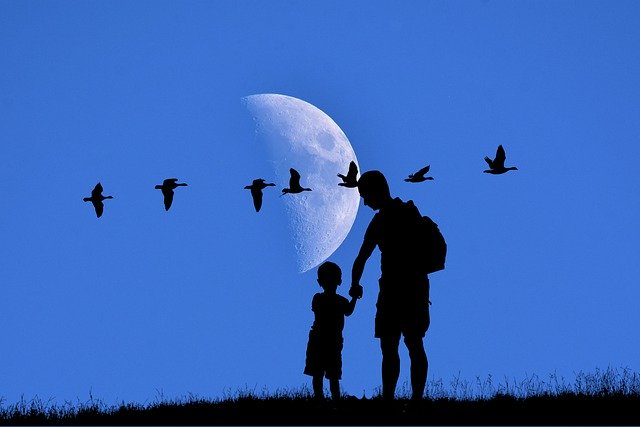 Free download child father silhouette moon geese free picture to be edited with GIMP free online image editor