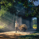 Childhood memories  screen for extension Chrome web store in OffiDocs Chromium