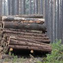 Children of the forest  screen for extension Chrome web store in OffiDocs Chromium