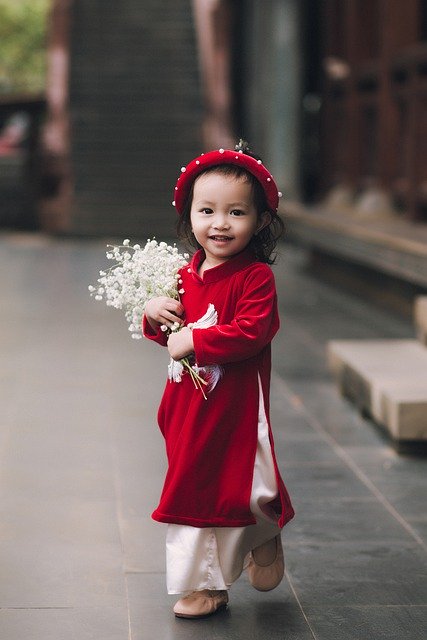 免费下载儿童越南奥黛幼儿免费图片，使用 GIMP 免费在线图像编辑器进行编辑
