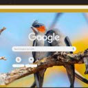 Chim  screen for extension Chrome web store in OffiDocs Chromium