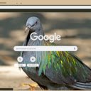 Chim Bo Cau Dai  screen for extension Chrome web store in OffiDocs Chromium