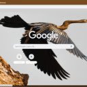 Chim cao co  screen for extension Chrome web store in OffiDocs Chromium
