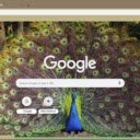 Chim Cong  screen for extension Chrome web store in OffiDocs Chromium