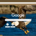 Chim Dai Bang  screen for extension Chrome web store in OffiDocs Chromium