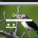 Chim En  screen for extension Chrome web store in OffiDocs Chromium