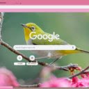 Chim hot  screen for extension Chrome web store in OffiDocs Chromium