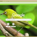 Chim khuyen  screen for extension Chrome web store in OffiDocs Chromium