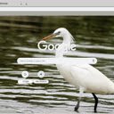 Chim Lac  screen for extension Chrome web store in OffiDocs Chromium