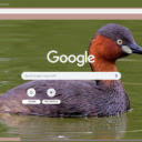 Chim le  screen for extension Chrome web store in OffiDocs Chromium