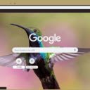Chim Ruoi  screen for extension Chrome web store in OffiDocs Chromium
