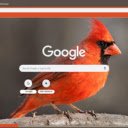 Chim Se Do  screen for extension Chrome web store in OffiDocs Chromium