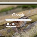 Chim Se Nau  screen for extension Chrome web store in OffiDocs Chromium