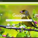 Chim Se Xanh  screen for extension Chrome web store in OffiDocs Chromium