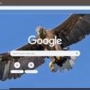 Chim Ung  screen for extension Chrome web store in OffiDocs Chromium