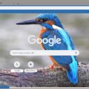 Chim Xanh Ngoc  screen for extension Chrome web store in OffiDocs Chromium