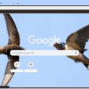 Chim Yen  screen for extension Chrome web store in OffiDocs Chromium